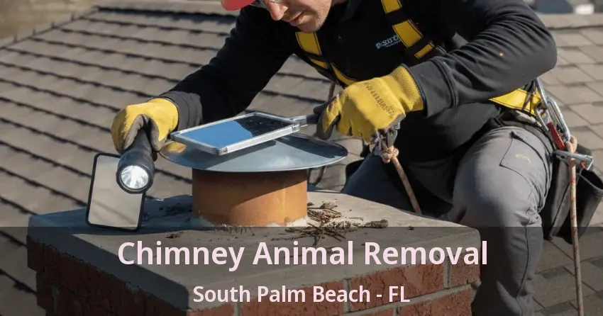 Chimney Animal Removal South Palm Beach - FL