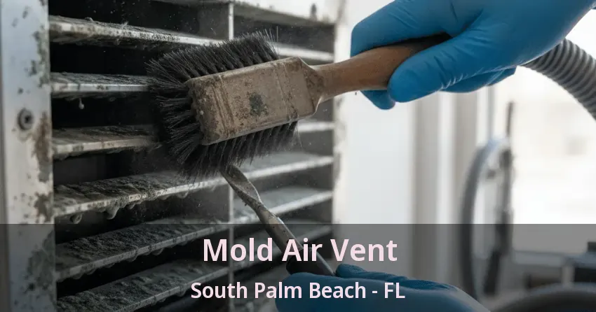 Mold Air Vent South Palm Beach - FL