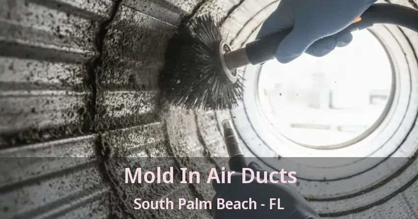 Mold In Air Ducts South Palm Beach - FL