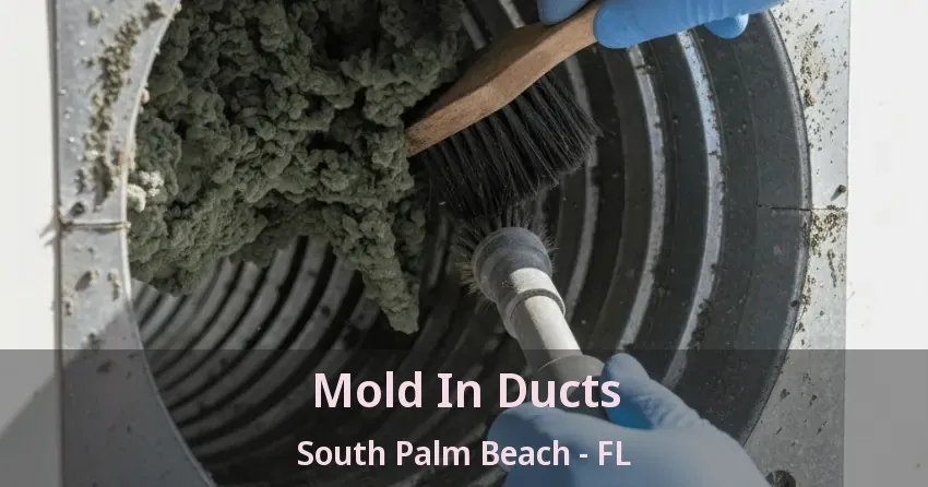 Mold In Ducts South Palm Beach - FL