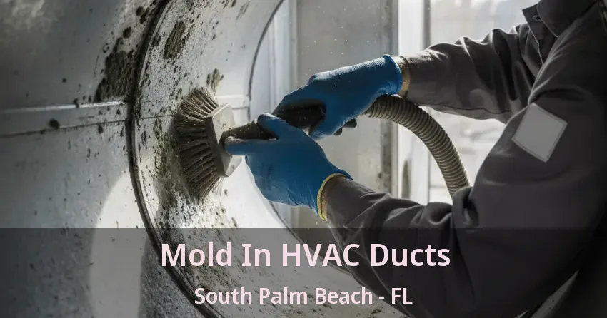 Mold In HVAC Ducts South Palm Beach - FL